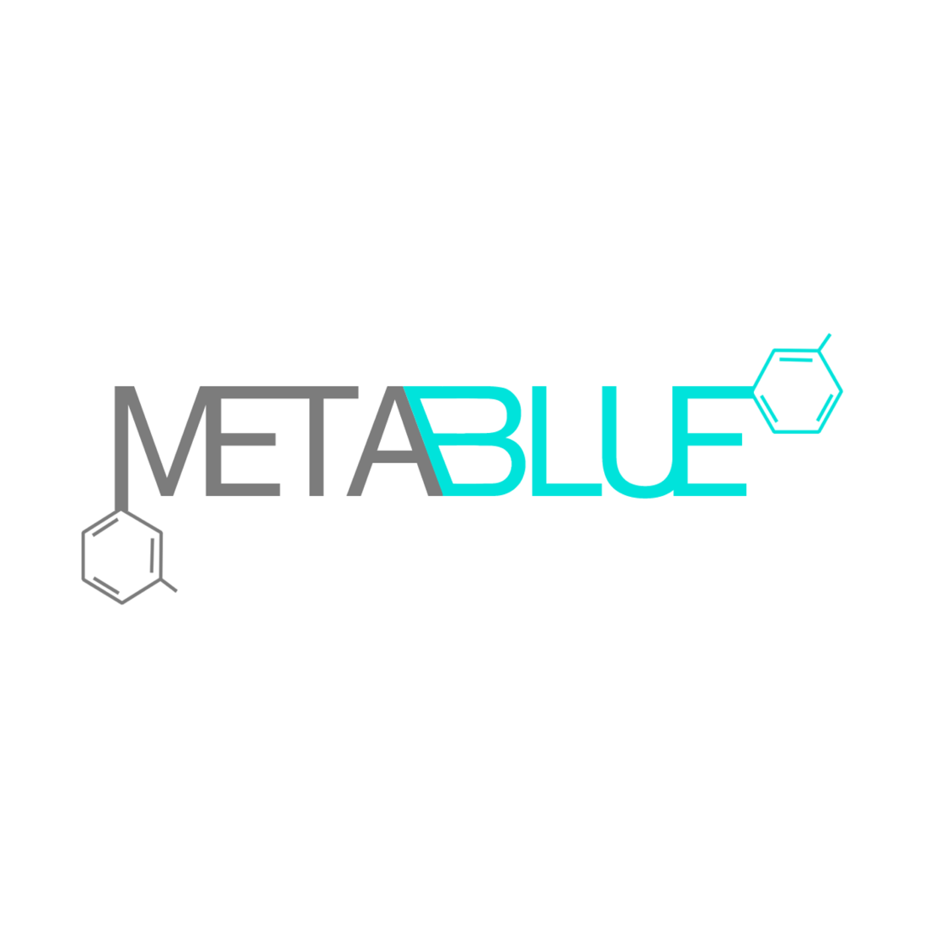 Metablue Solutions